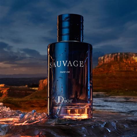 sauvage dior eau de parfum|Dior Sauvage cheapest price.